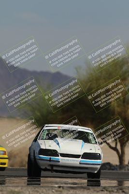 media/Oct-12-2025-Lucky Dog Racing (Sun) [[8adb5568ea]]/3-Third    Stint/4-Turn 4 (Tree of Life)/